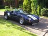 BMW Cobra with stripes 001.jpg