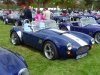 Tims Cobra at Stoneleigh.jpg